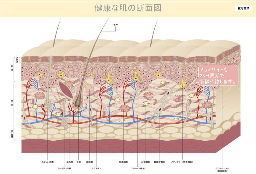 simicare_progress